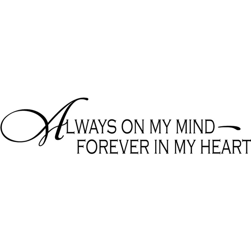 My Image 11