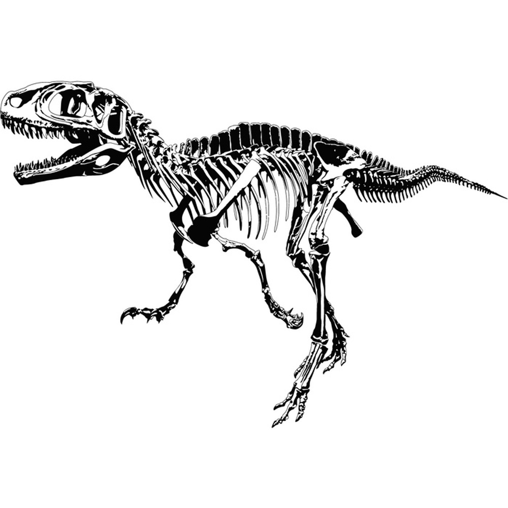 T-Rex-skelet Muursticker Jurassic Dinosaur Muurtattoo Kinderen ... T-Rex-skelet Muursticker Jurassic Dinosaur Muurtattoo Kinderen ...