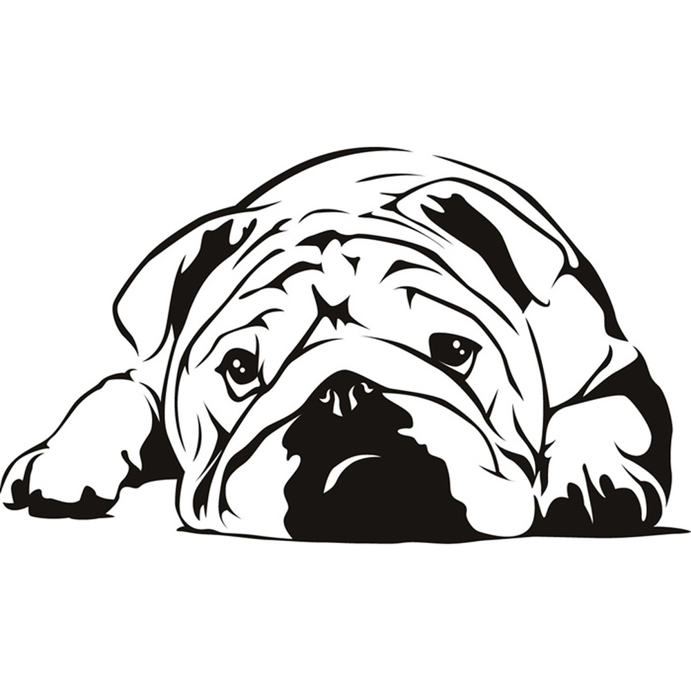 English Bulldog Wall Art Sticker Wall Decal eBay