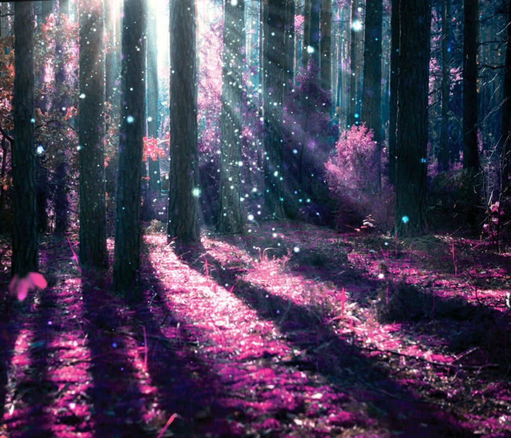 wallpaper hp pink wallpaper hp pink