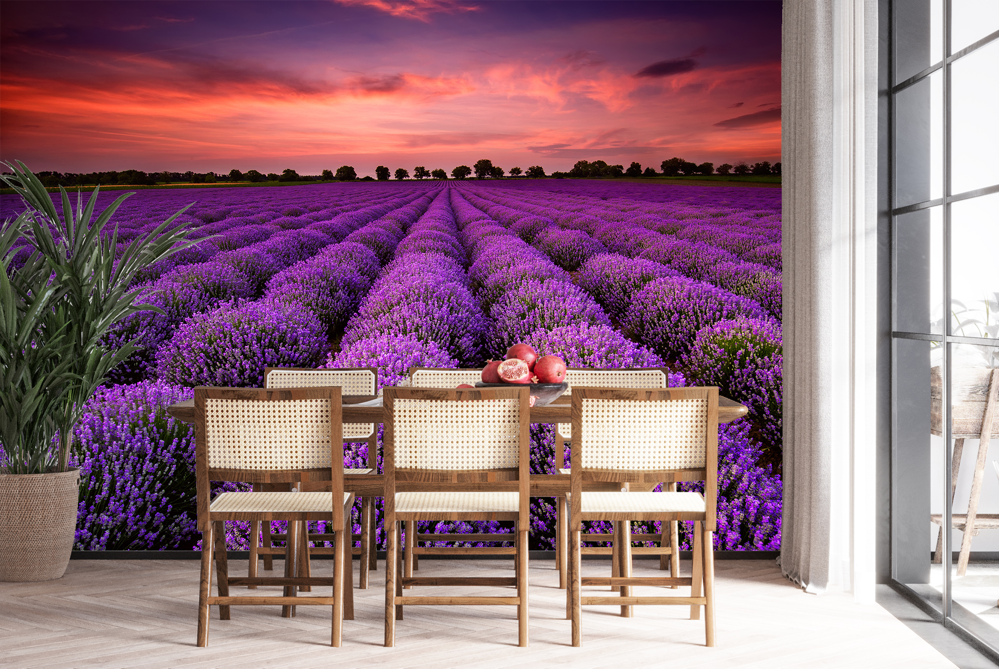 Purple Lavender Field Wall Mural Wallpaper WS-42411 | eBay