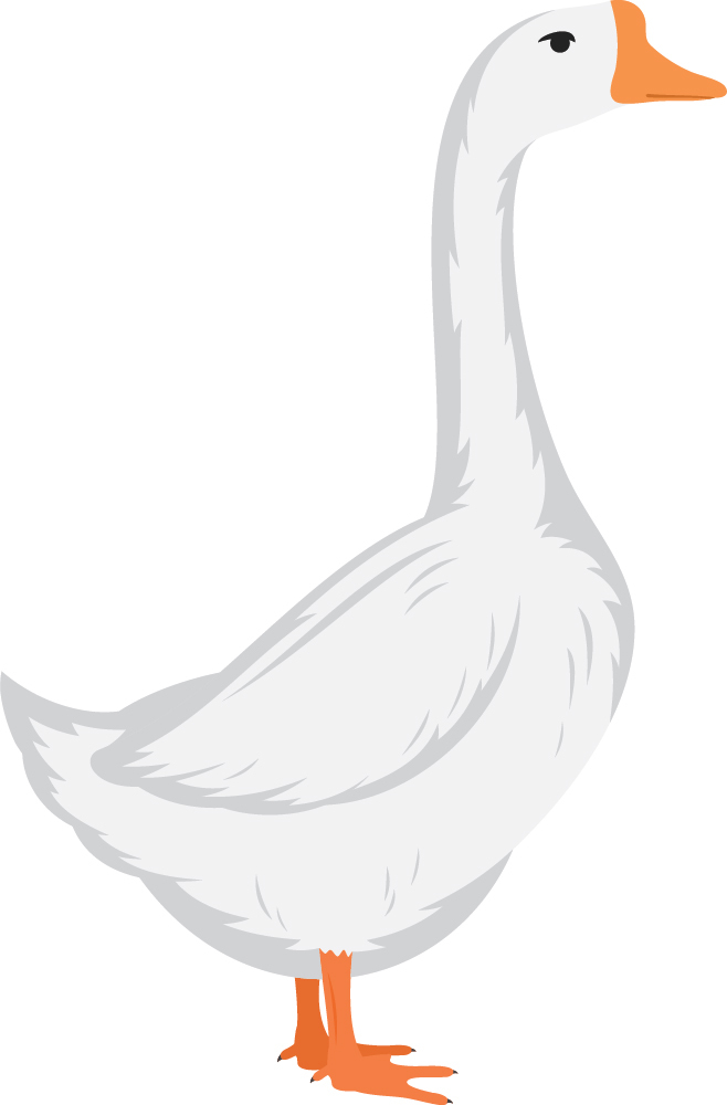 Home Decor Stickers Autocollant Poster Animaux De La Ferme Bebe Canard Canetons Home Garden Home Decor Stickers Autocollant Poster Animaux De La Ferme Bebe Canard Canetons Home Garden